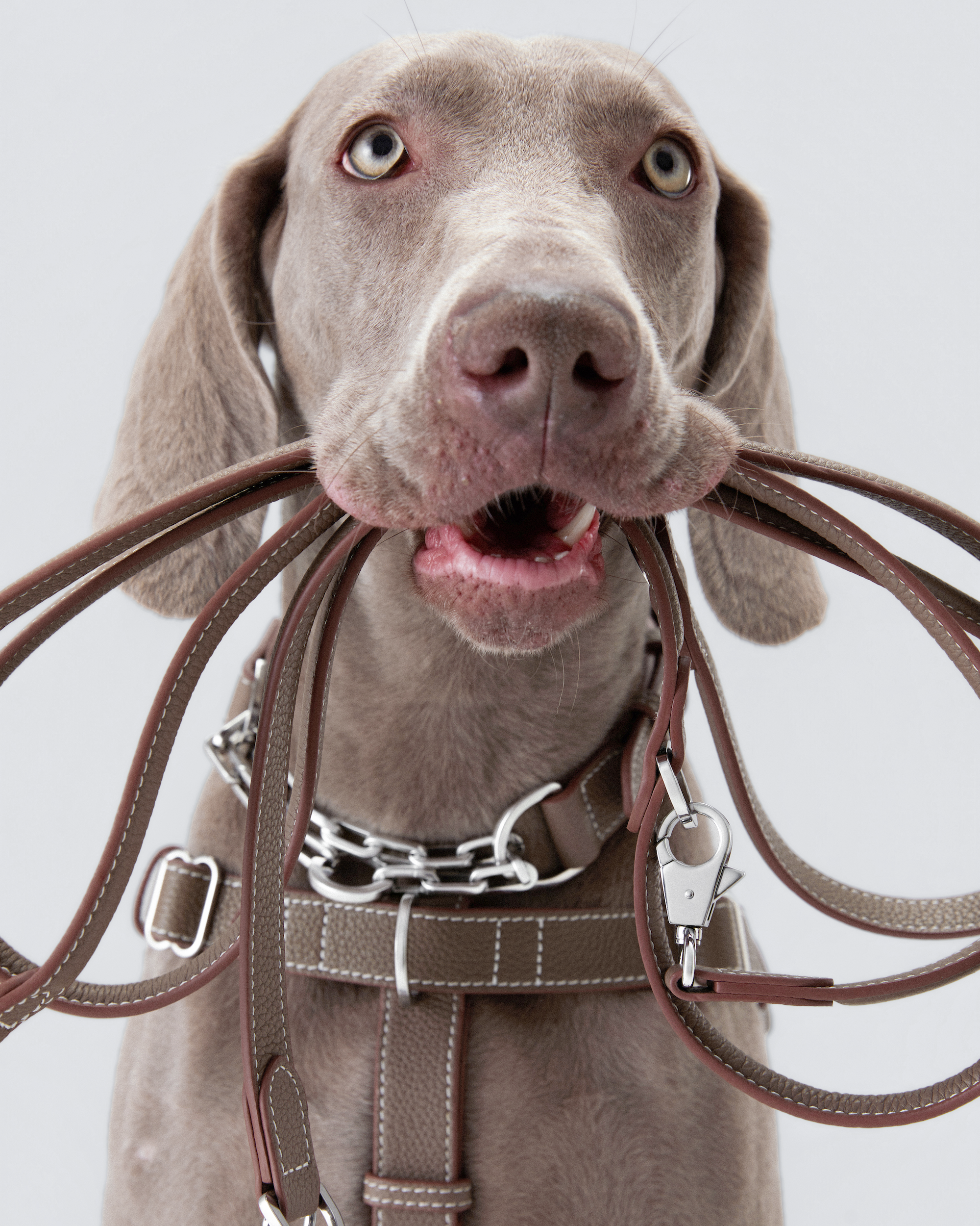 The Benni Leash