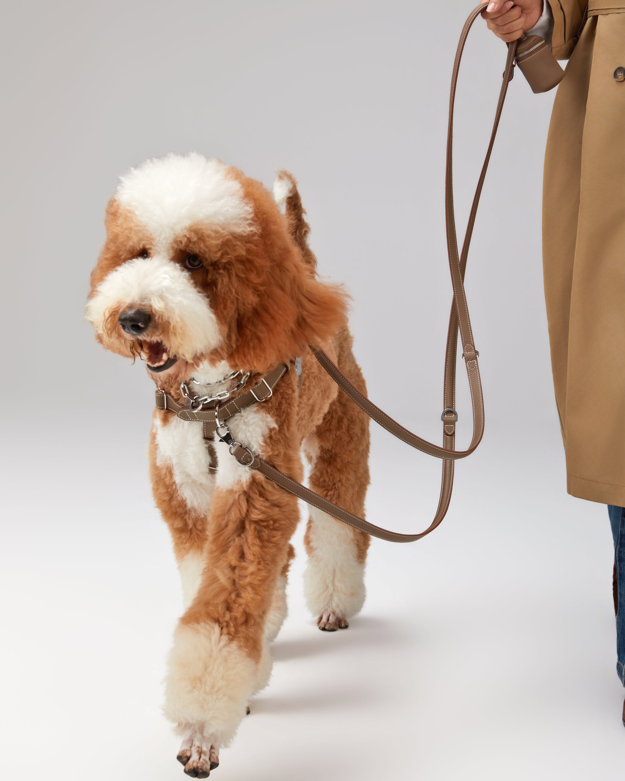 The Benni Leash