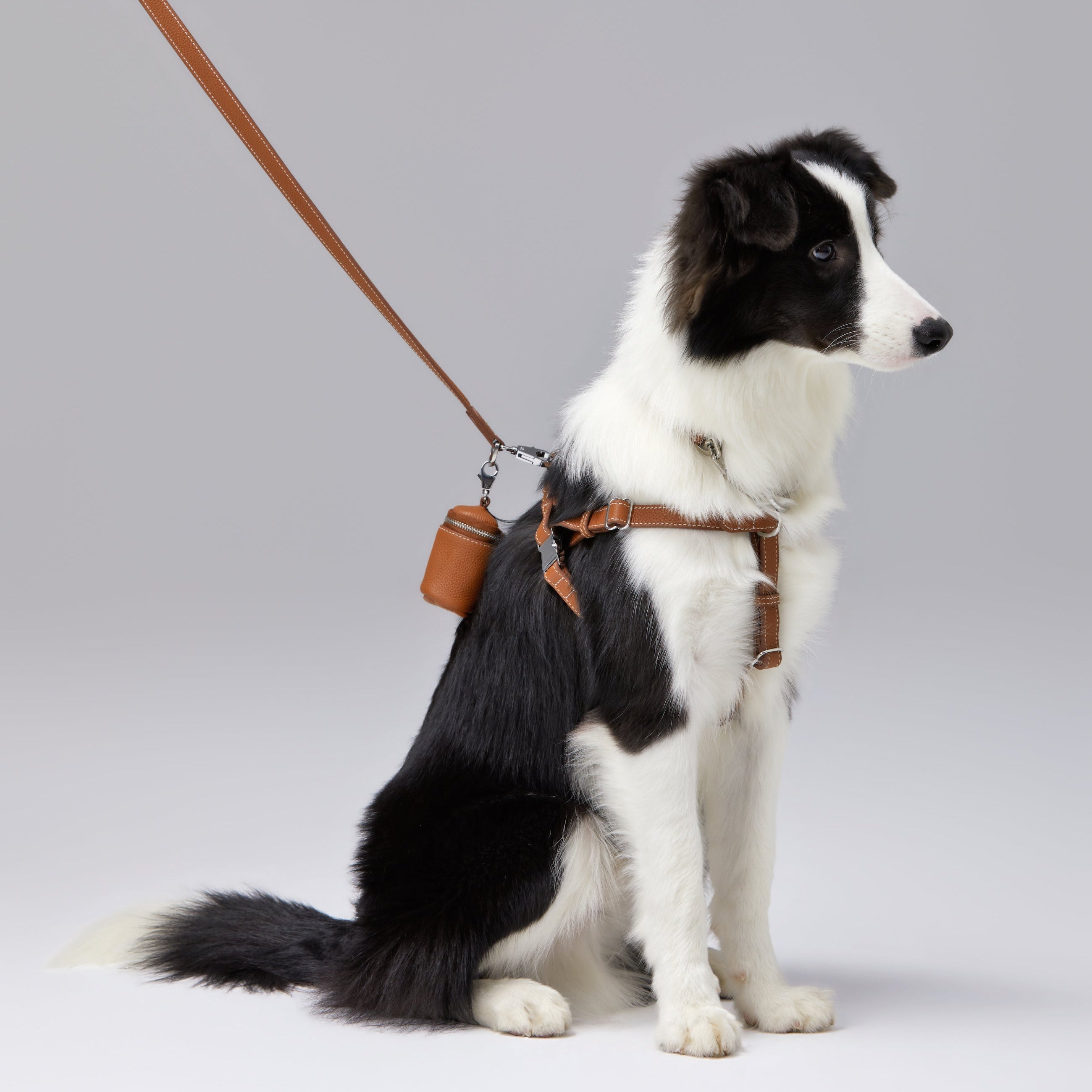 The Multi-Purpose Pochette: Essential for Every Walk