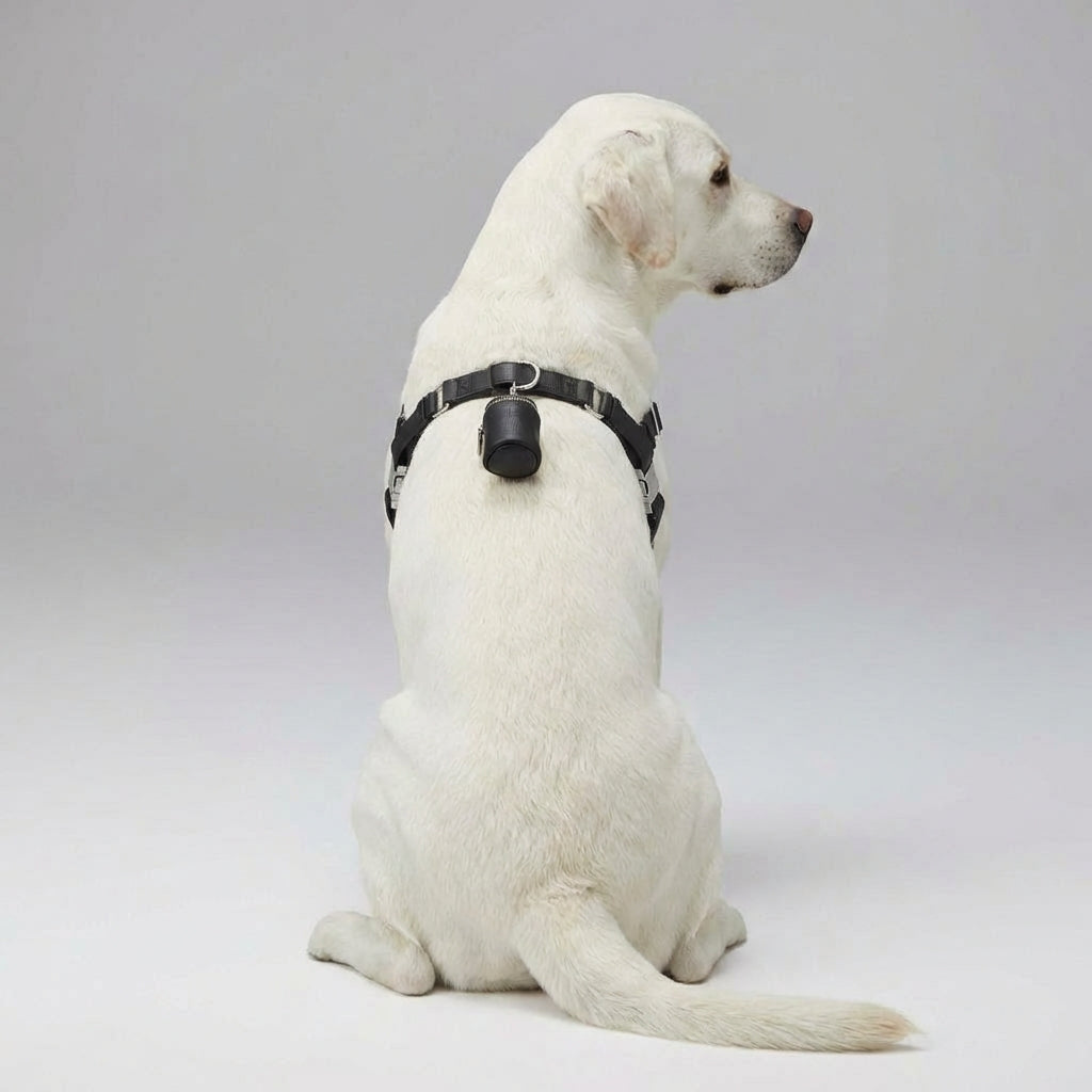 The Multi-Purpose Pouchette: Essential for Every Walk