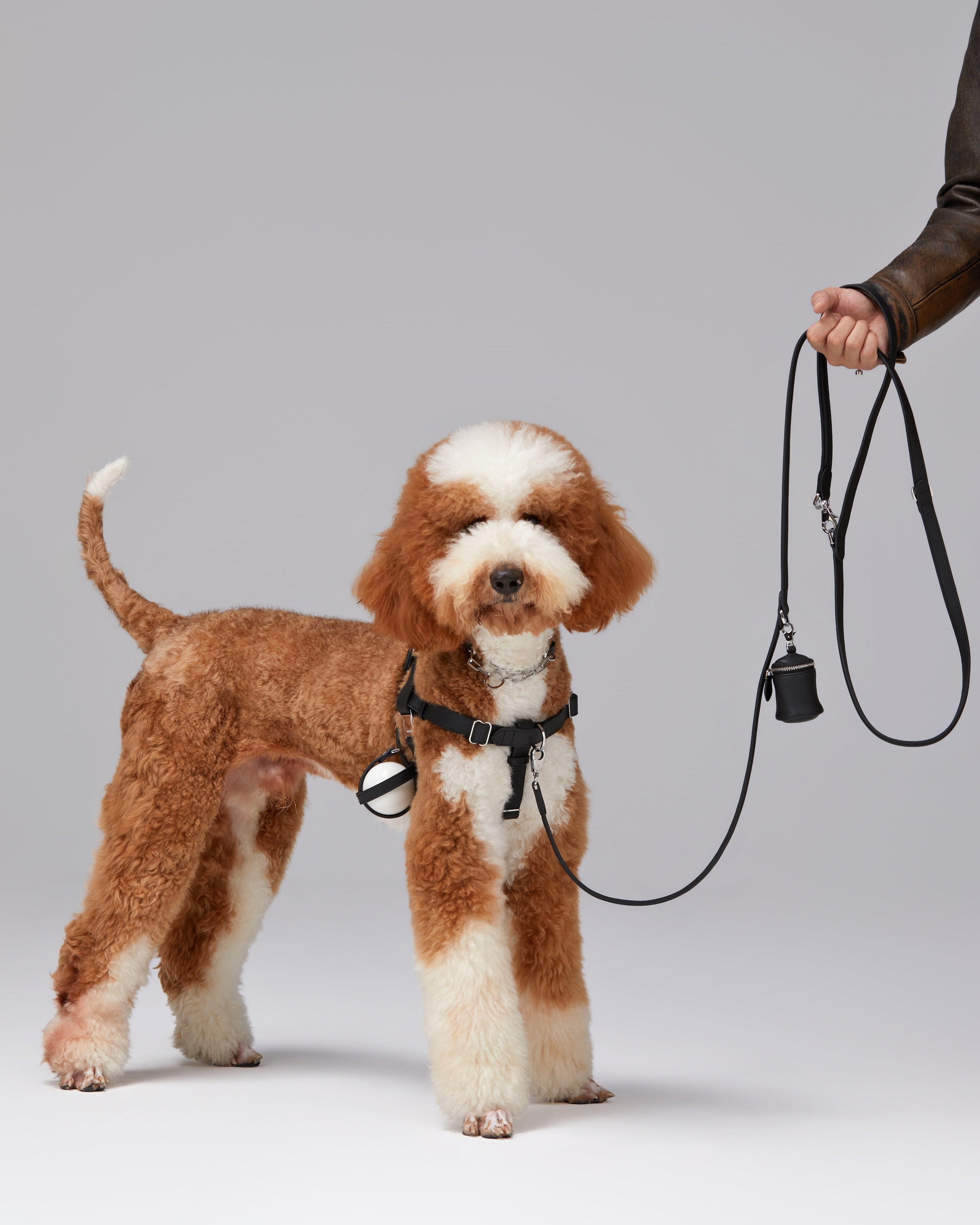 The Benni Leash — 6-Way Luxury Leather Dog Leash | ami nali