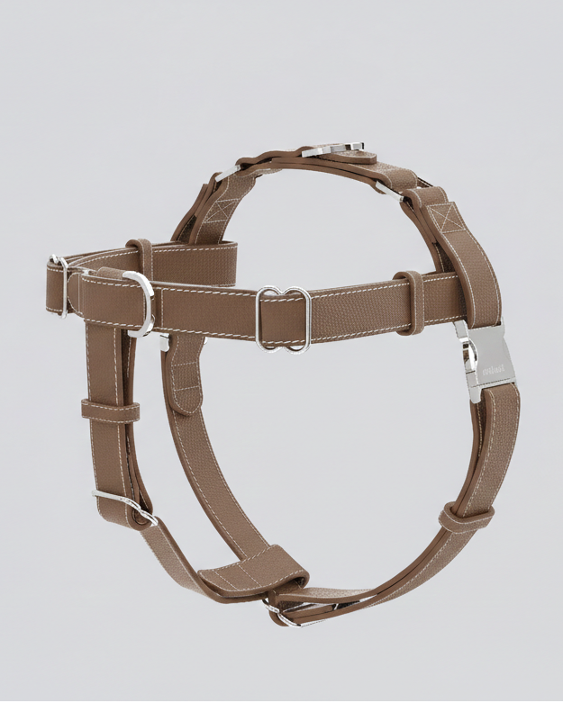 The Theo Harness