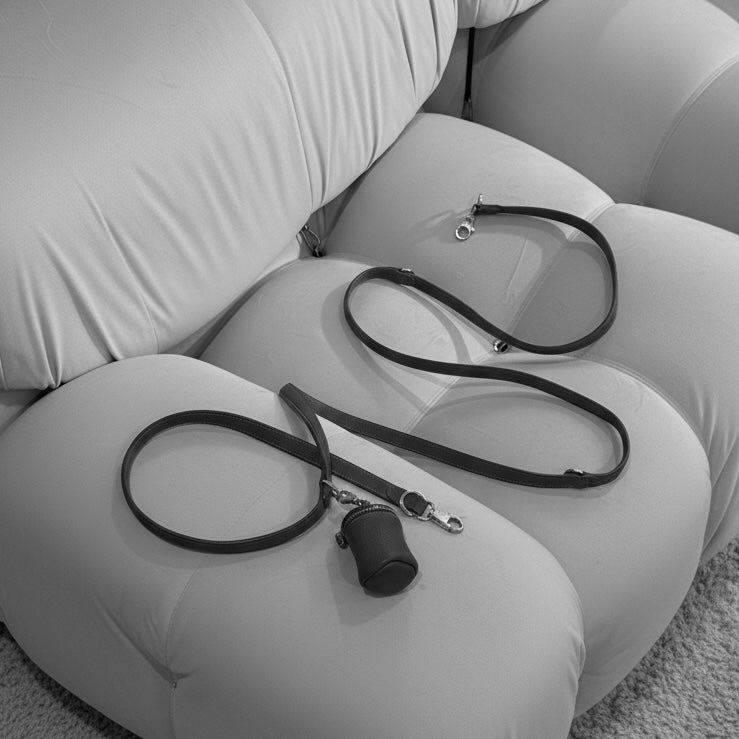 leash on mario bellini couch