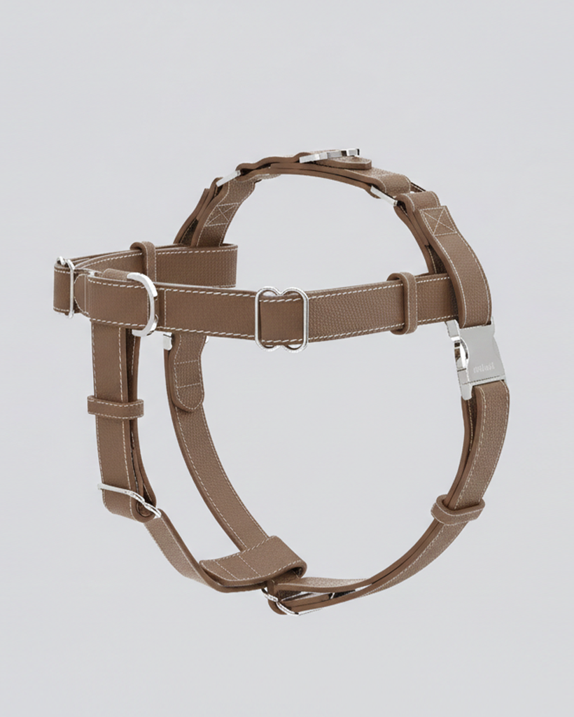 The Theo Harness