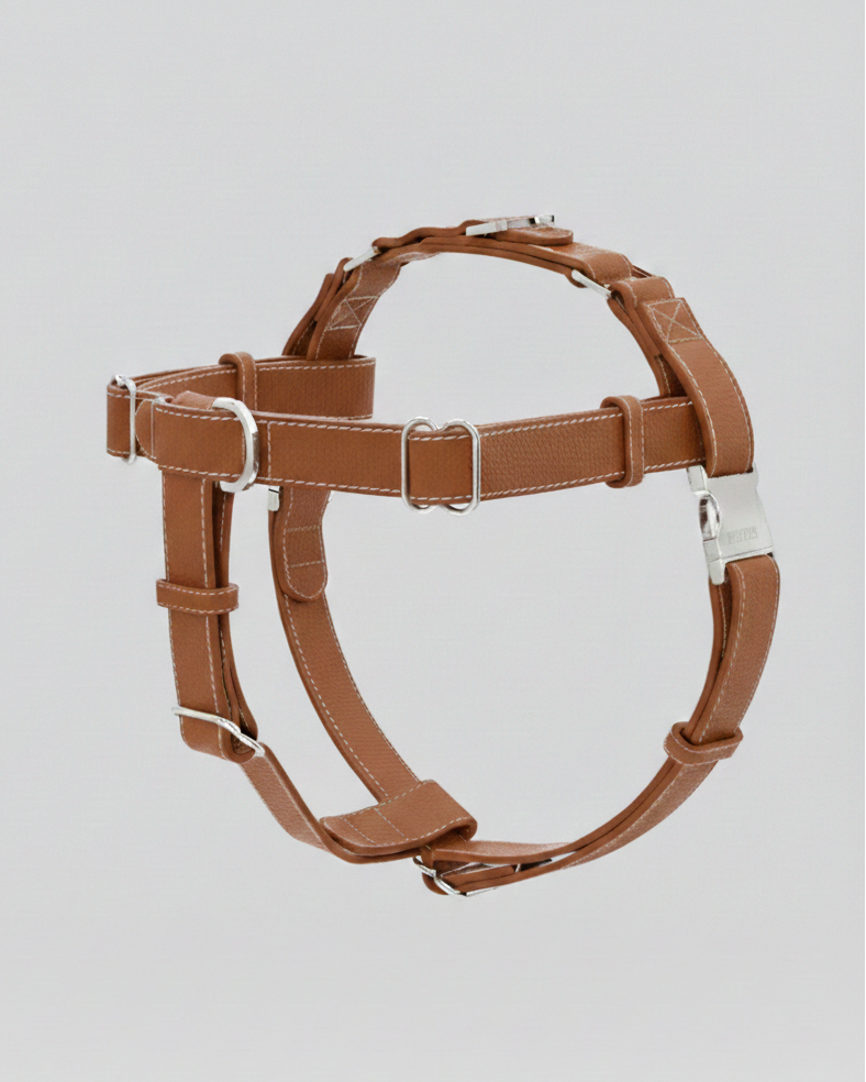 The Theo Harness