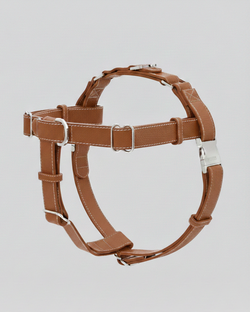 The Theo Harness